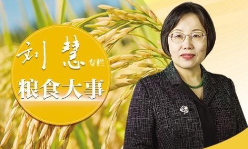 用利福平眼药水出汗会发红吗网利福平眼药水里面的红色颗粒知识网站,分享用利福平眼药水出汗会发红吗怎么办大全